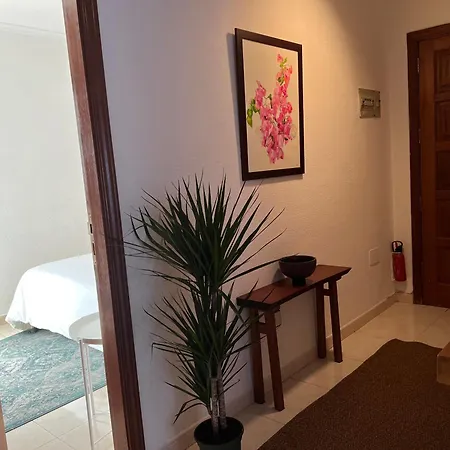 Cozy Apartamento